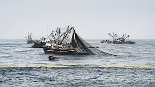 Produce suspende pesca de merluza por una semana por alta incidencia en captura de juveniles