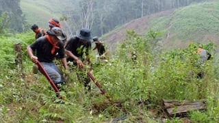 El Gobierno entrará por primera vez al VRAEM para erradicar hoja de coca