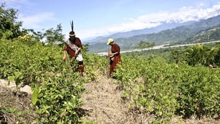 Devida ingresará al VRAEM por ser la zona con más cultivos de coca