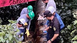 Amazonas: logran contener derrame de crudo tras ataque al Oleoducto Norperuano