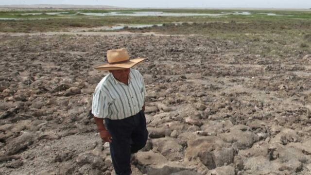 Sudamérica enfrenta una severa sequía que amenaza las cosechas claves
