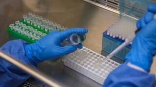 Peruanos desarrollan pruebas moleculares para diagnosticar COVID-19 en 40 minutos [VIDEO]