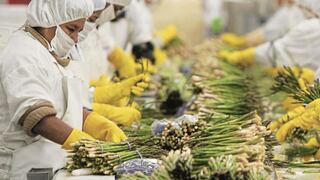 AGAP: “Es falso que el sector agrario formal no tenga derechos laborales”