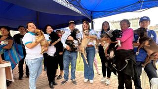 Ofrecen en adopción a perritos rescatados en incendio en La Victoria 