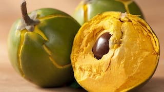 Lúcuma: Deliciosa fruta peruana gana más consumidores en Estados Unidos