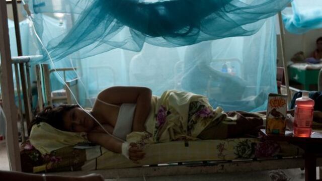 Gobierno declara en emergencia tres provincias de Ucayali por dengue