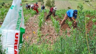 Gobierno otorgará bono para agricultores mientras esperan la llegada de fertilizantes 