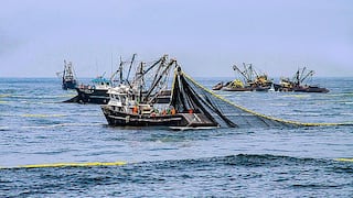 [Opinión] Abraham Levy: El impacto de La Niña Costera en la Pesca Industrial 2022