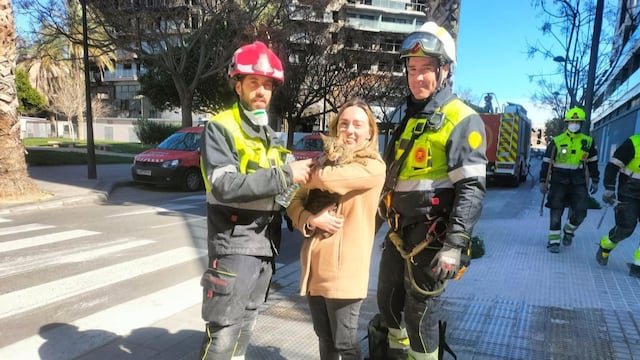 ¡Ocho días después! Bomberos rescataron a un gato que sobrevivió al incendio del edificio de Valencia