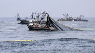 Produce capturó 78.18% de la cuota de pesca de anchoveta para zona norte-centro del litoral