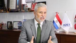 Presidente de ADEX sobre Pedro Castillo: “Tener autoridades que estén en el cargo 1 o 2 meses no nos permite avanzar”