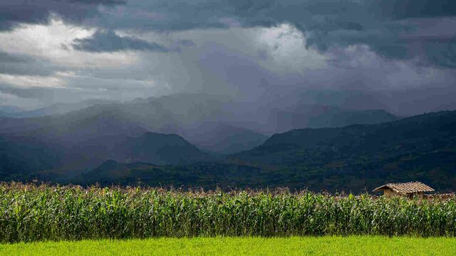 Agro peruano se proyecta al 2050 con énfasis en tecnología e inversión pública