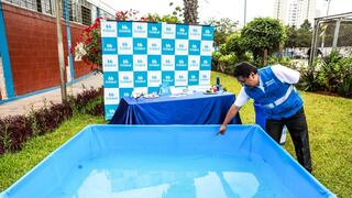 EsSalud advierte que instalación de piscinas en las calles incrementaría casos de dengue