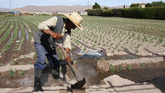 Minagri destinará S/600 millones para reactivar sector agro y apoyar a los pequeños productores tras cuarentena