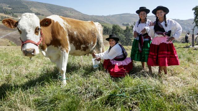 Midagri impulsa el desarrollo de la ganadería lechera en beneficio de más de 400 mil productores peruanos