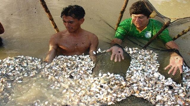 Loreto: pobladores de 11 comunidades nativas se beneficiarán con 40, 000 crías de peces entregados por el Minam
