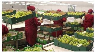 Agroexportaciones peruanas crecen 14% en enero al sumar US$ 745 millones 