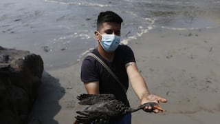Derrame de petróleo: Minam organizará a voluntarios para que intervengan con seguridad