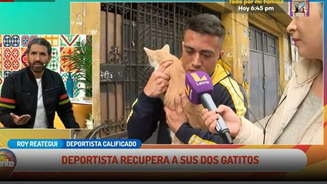 ¡Se reencontraron! Deportista recuperó a sus dos gatitos que quedaron atrapados en una quinta del Centro de Lima