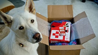 Kit de emergencia animal para caso de sismo
