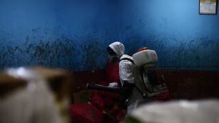 Más de 23 mil casas serán fumigadas para evitar dengue, zika y chikunguña en Iquitos 