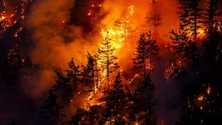 EE.UU. prevé que aumenten los muertos por los incendios en la coste oeste   [FOTOS]