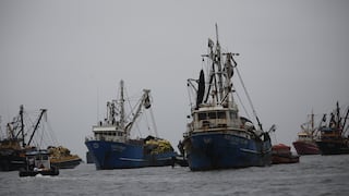 Ejecutivo aprueba protocolo y criterios técnicos para reanudación de la pesca industrial