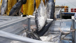 Embarcaciones extranjeras que pesquen atún deberán entregar el 30% de su captura en plazo de un año