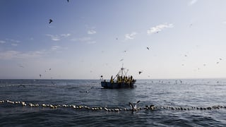 Produce autoriza inicio de la primera temporada de pesca de anchoveta en zona sur del país