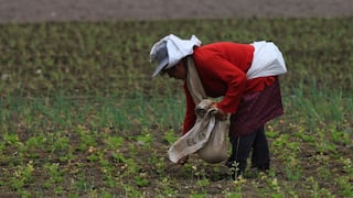 Midagri: Sector agropecuario registró crecimiento de 1.2% en primer mes del 2021