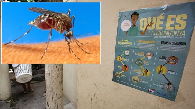 Minsa confirma dos casos importados de fiebre Chikungunya en el Perú