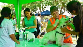 Lince realizará este domingo 24 de marzo campaña veterinaria gratuita