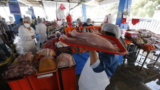 Ministerio de la Producción reitera que “es seguro consumir pescados y mariscos por estos días” 