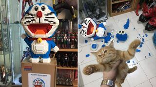 Gato se vuelve viral por destruir una figura de Lego de más de 4,500 piezas que su dueño ‘sufrió’ para armar
