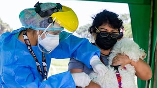 Surco: realizarán ‘vacunatón’ de mascotas en diferentes parques del distrito