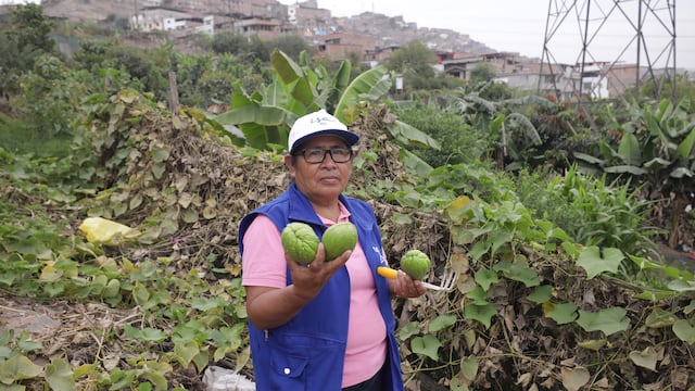 Gregoria Flores, agricultora: “Los huertos urbanos han mejorado nuestra calidad de vida”