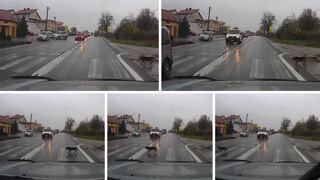 Perro respeta el cambio de luz del semáforo para cruzar calle y se vuelve viral [FOTOS Y VIDEO]