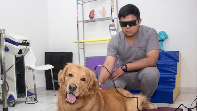 5 beneficios de usar técnicas de fisioterapia y rehabilitación para mejorar la salud de nuestras mascotas