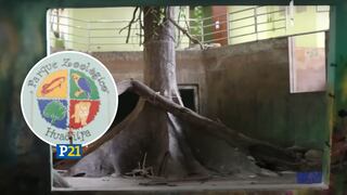 Zoológico de Huachipa: Encuentran instalaciones en abandono a poco tiempo de ser entregado a la MML