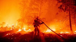 Un total de 415 distritos corren muy alto riesgo por incendios forestales