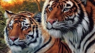 Acertijo Visual: ¿Podrás encontrar los 16 tigres escondidos en la imagen en tan solo 20 segundos?