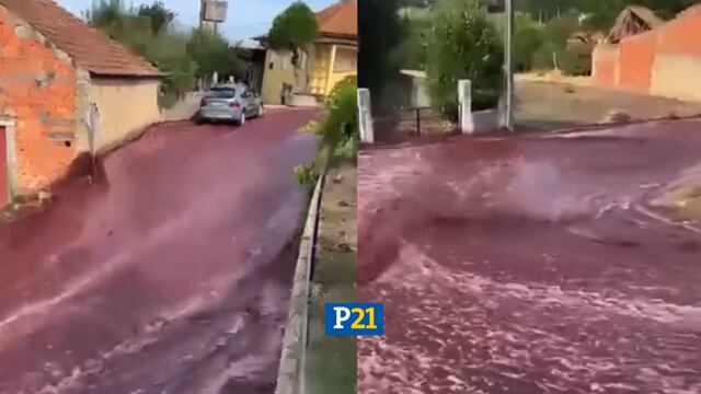 Portugal: Un río de vino tinto inundó las calles de la localidad de Anadia
