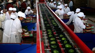 Agroexportaciones crecieron 14% en agosto y sumaron US$ 691 millones por mayores ventas de frutas