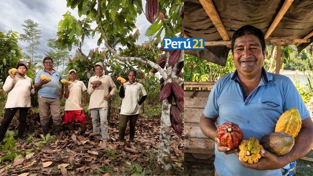 Del Perú para el mundo: Cacao orgánico de comunidad nativa podrá exportarse a Estados Unidos y Europa