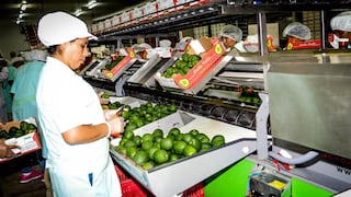 Agroexportaciones peruanas crecen 26% en junio y acumulan envíos por US$ 3,480 millones 
