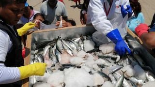 Produce decomisó más de 100 toneladas de recursos pesqueros en febrero