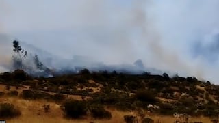Dos muertos y varios heridos tras incontrolable incendio forestal en Huaral [FOTOS]