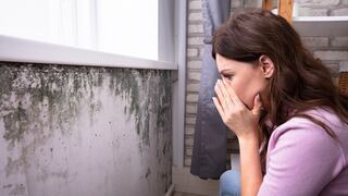 ¿Cómo la humedad afecta la salud de tu familia?