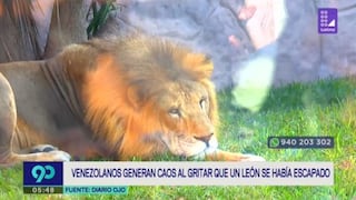 Asaltan a visitantes del 'Parque de las Leyendas' luego causar pánico con el falso escape de león