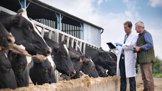 EE.UU. dice que TLCAN debe poner fin a esquema de proteínas lácteas de Canadá